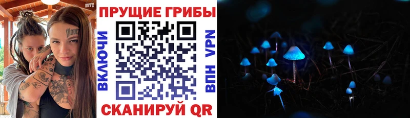 Галлюциногенные грибы MAGIC MUSHROOMS  Купить закладки  Ладушкин 